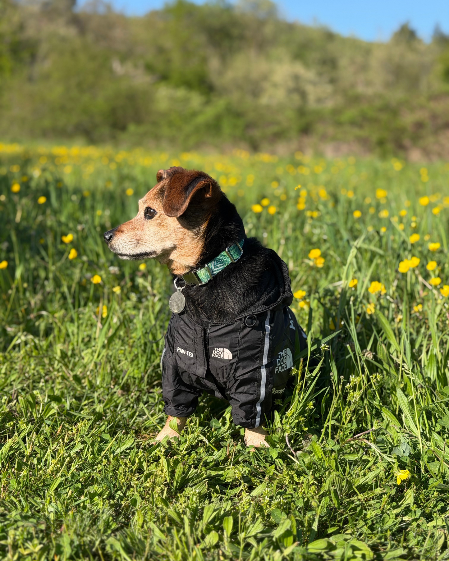 Parka Noir The Dog Face
