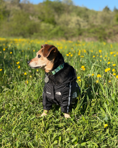 Parka Noir The Dog Face