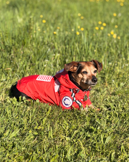 Parka Rouge The Dog Face