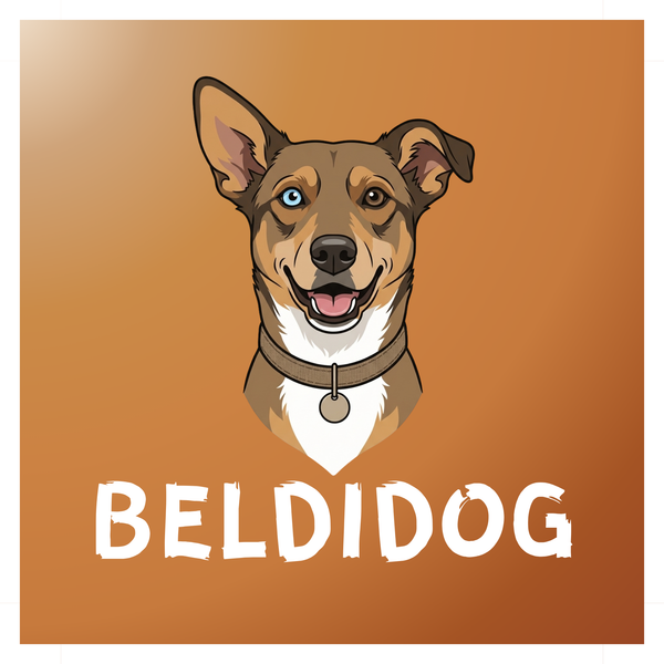 beldidog