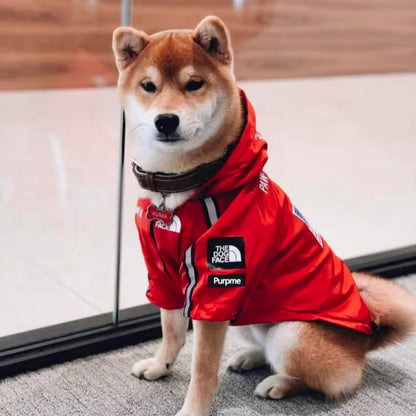 Parka Chien The Dog Face